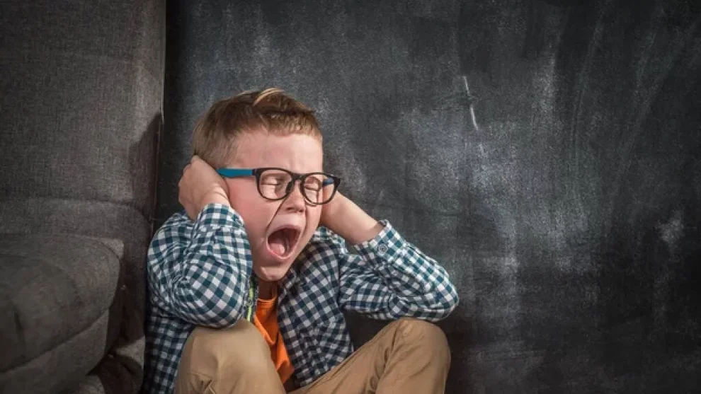 2026 01 960967021.png