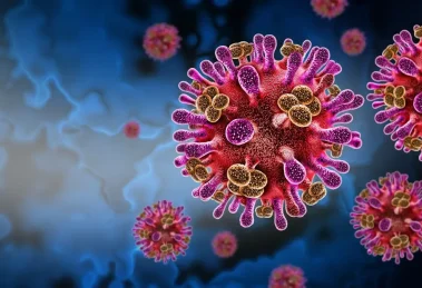 2026 01 962911480 1.png