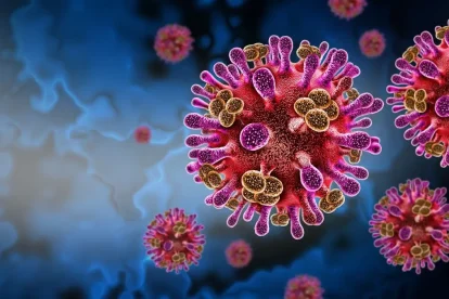 2026 01 962911480.png