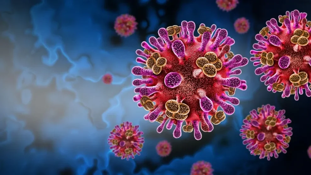 2026 01 962911480.png