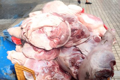 2026 01 962927672.png