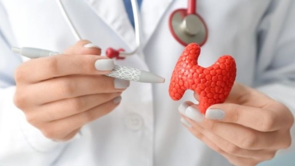 2026 01 963049305.png