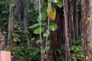 2026 01 963188249.png