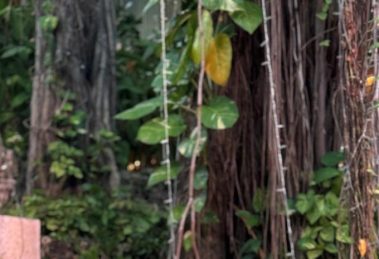 2026 01 963188249.png