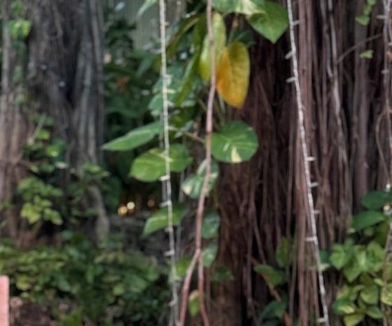 2026 01 963188249.png