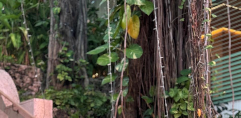 2026 01 963188249.png