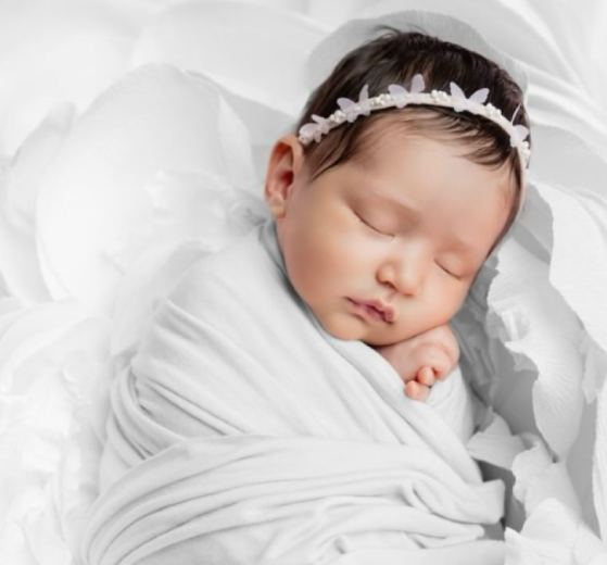 2026 01 963666832.png