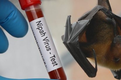 2026 01 963906679.png