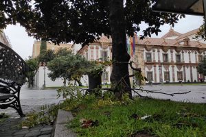 2026 01 965123190 1.png