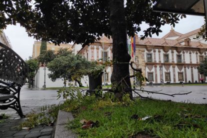 2026 01 965123190 1.png