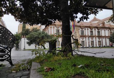 2026 01 965123190.png