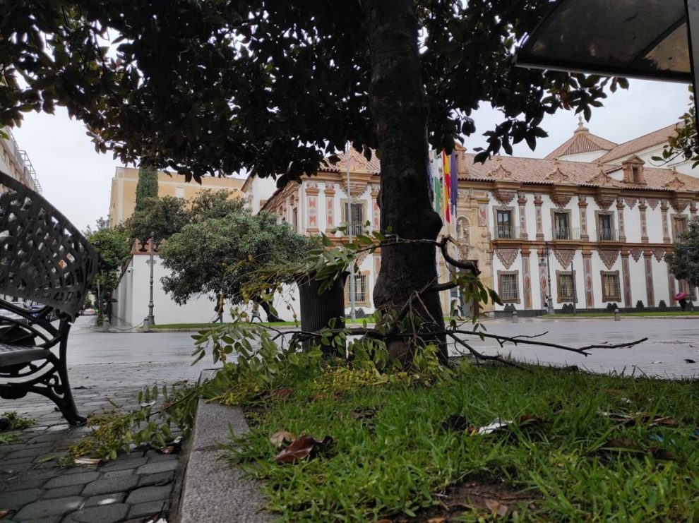 2026 01 965123190.png