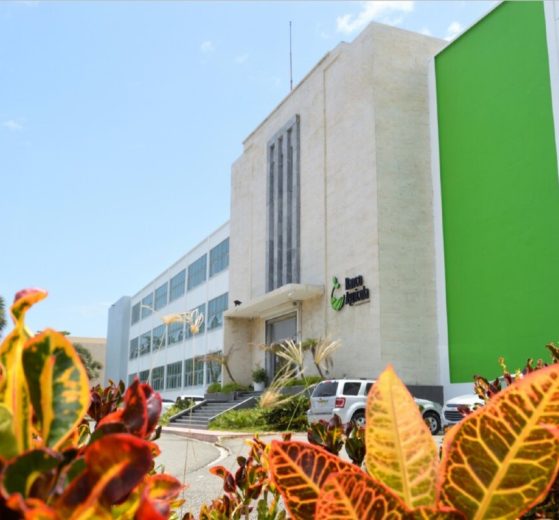 B 2026 01 955974612.png