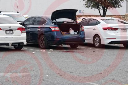 B 2026 01 959444190.png