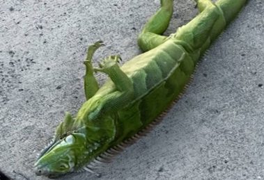 2026 02 969836185.png