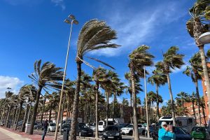 2026 02 971482534.png