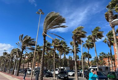 2026 02 971482534.png