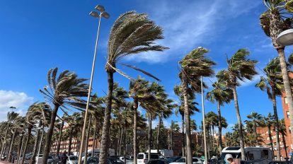 2026 02 971482534.png