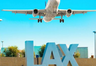 2026 02 973555205.png