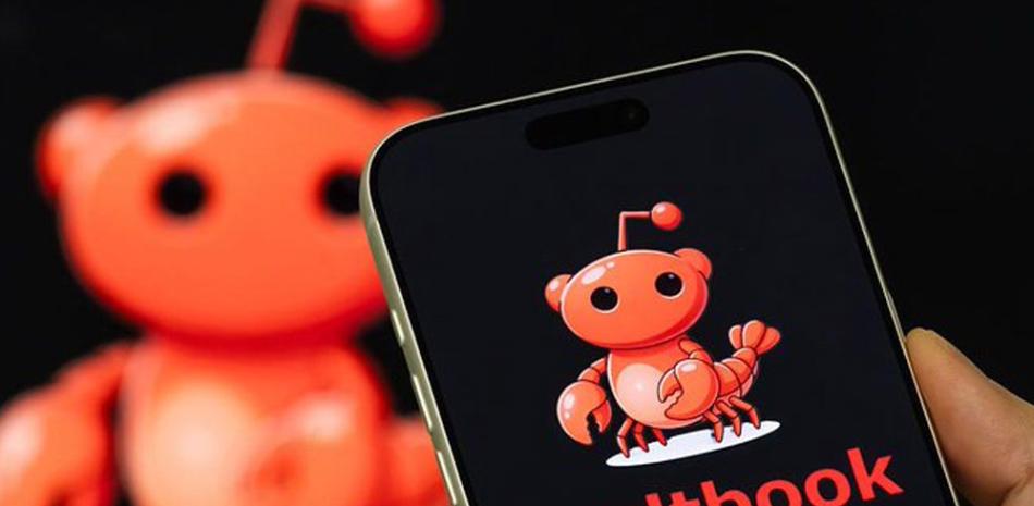 2026 02 974067667 3.png