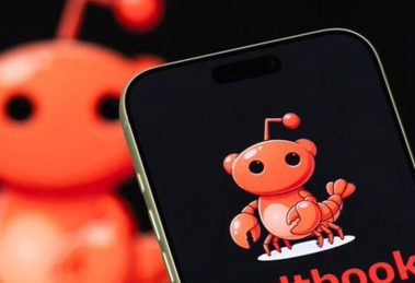 2026 02 974067667.png