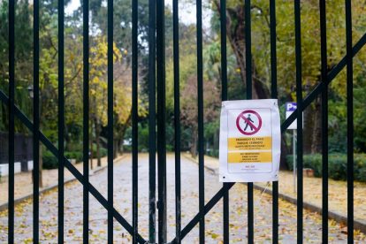 2026 02 979059293.png