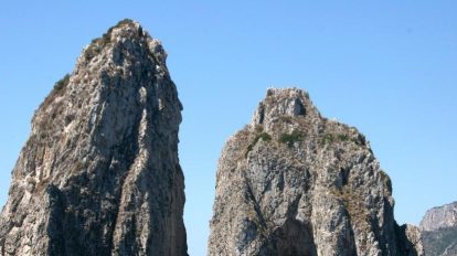 2026 02 981707956.png