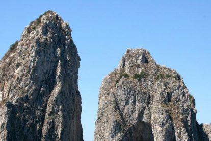 2026 02 981707956.png