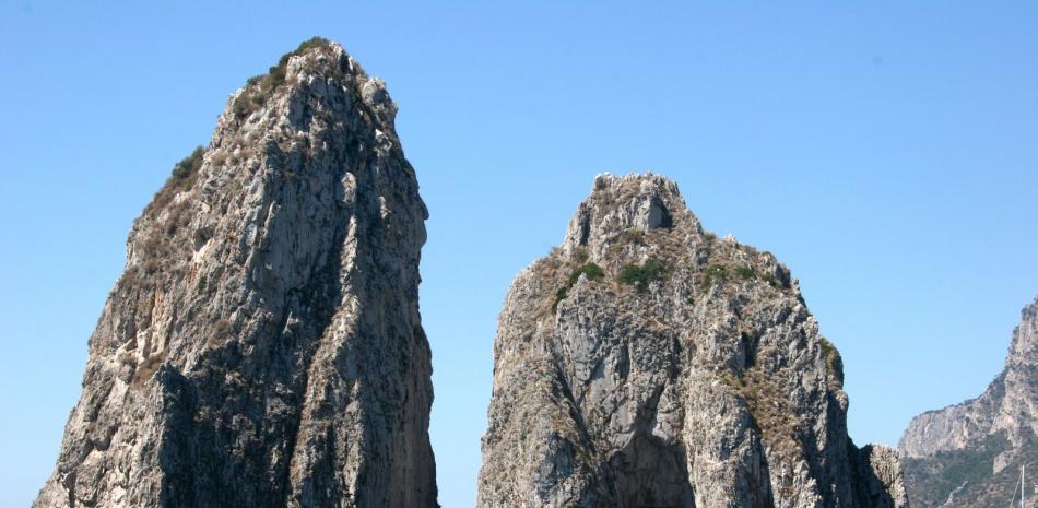 2026 02 981707956.png