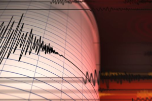 2026 02 981849765.png