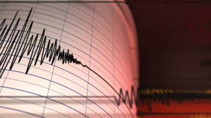 2026 02 981849765.png