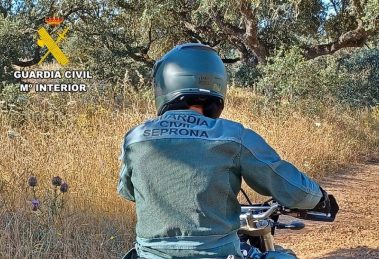 2026 02 986083250.png