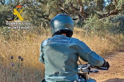 2026 02 986083250.png