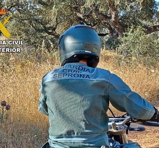 2026 02 986083250.png