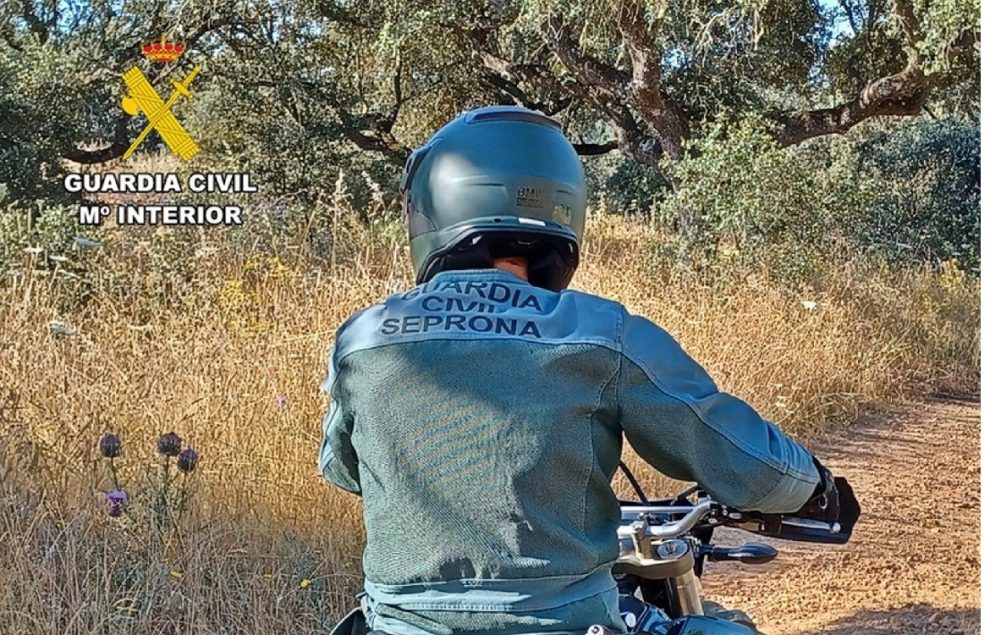 2026 02 986083250.png