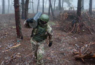 2026 02 987029339.png