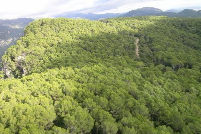 2026 02 987177932.png