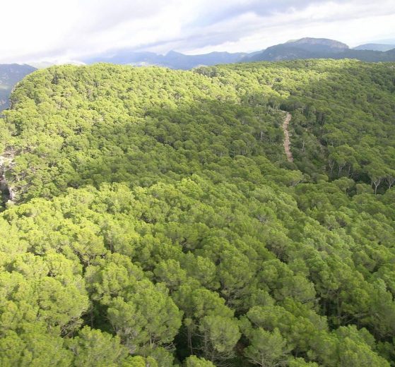 2026 02 987177932.png