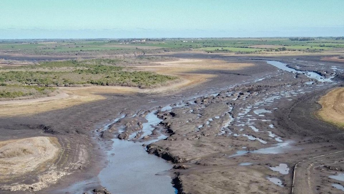 Analizando las causas políticas detrás de las crisis del agua en Río de ...