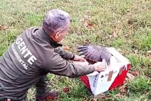 2026 03 1008476393.png