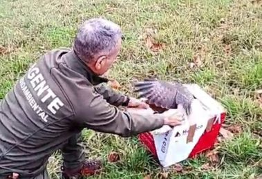 2026 03 1008476393.png