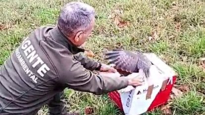 2026 03 1008476393.png