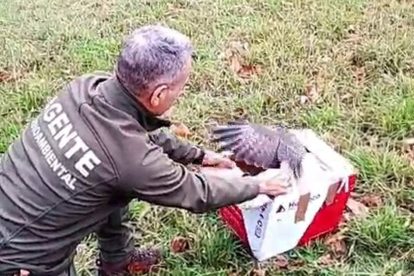 2026 03 1008476393.png