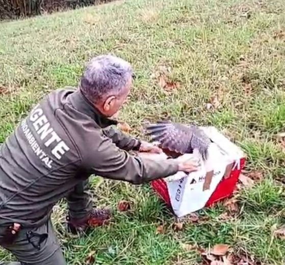 2026 03 1008476393.png