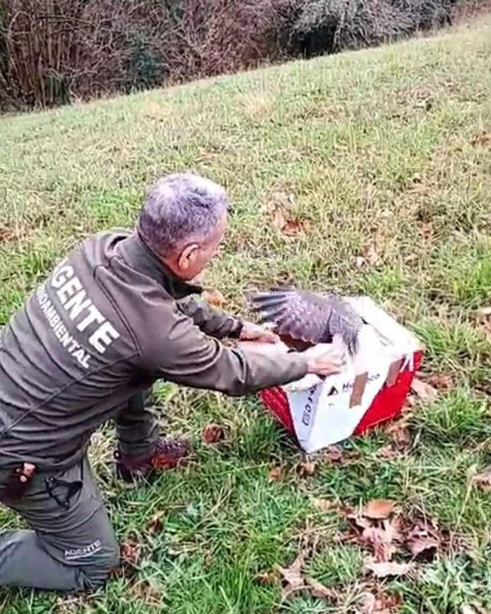 2026 03 1008476393.png