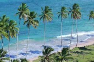 2026 03 1016079262.png