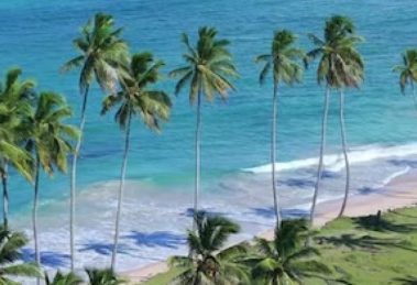 2026 03 1016079262.png