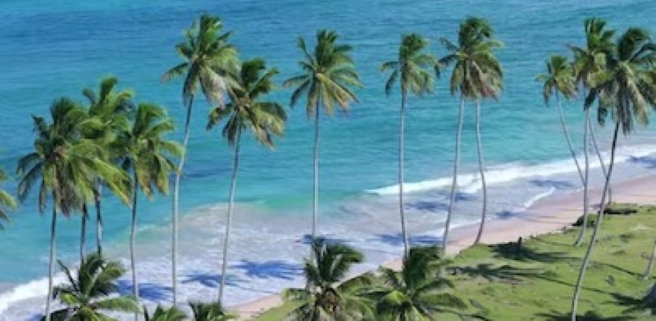 2026 03 1016079262.png