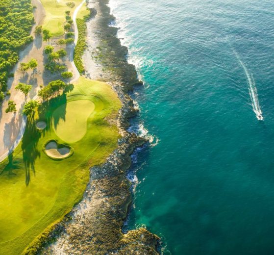 2026 03 1017594015.png