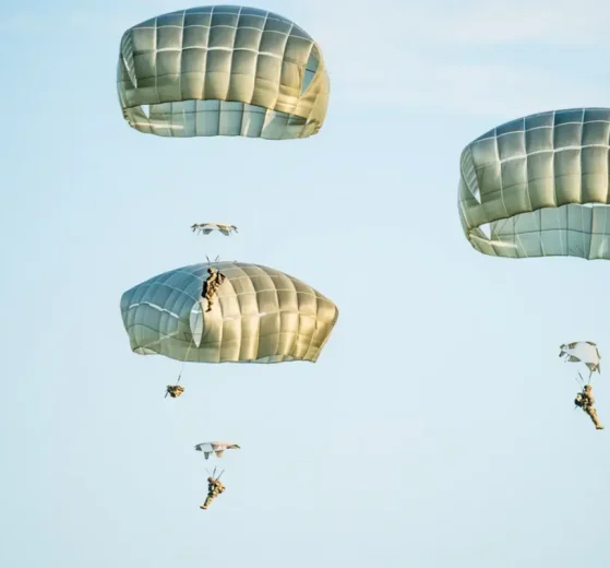 2026 03 1019293555.png